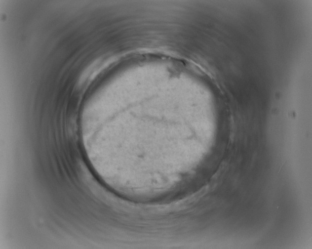 X0000061740002200512231512