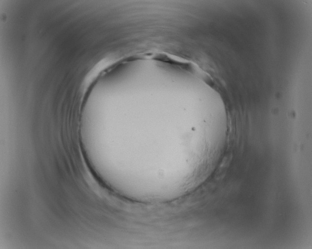 X0000061740003200512231512