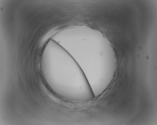 X0000061740005200512231512