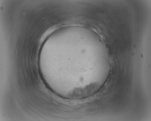 X0000061740006200512231512