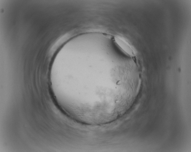 X0000061740007200512231512