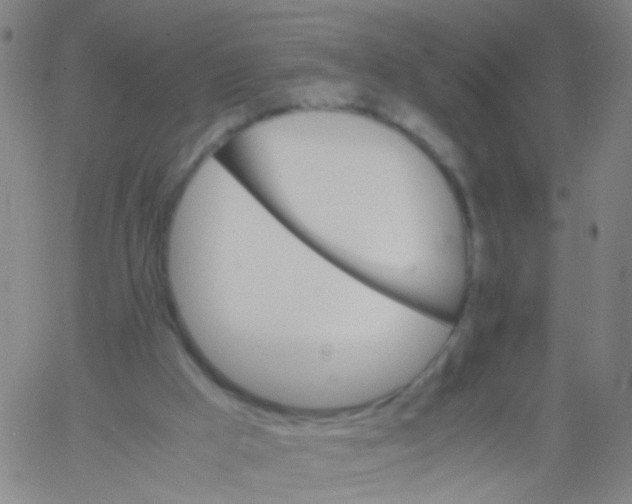 X0000061740009200512231512