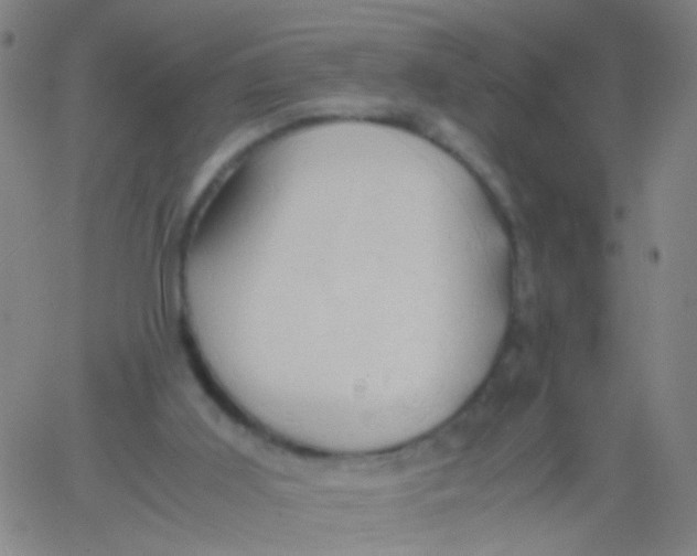 X0000061740011200512231512