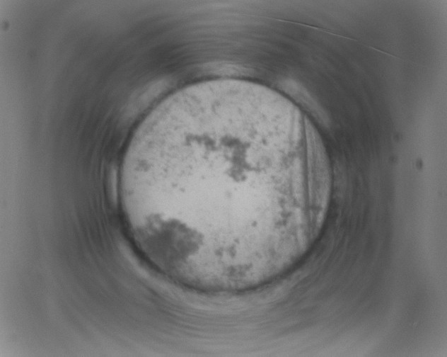 X0000061740014200512231512