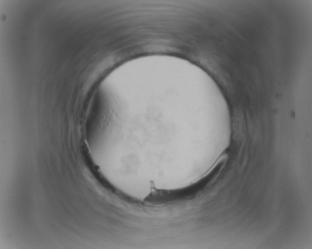 X0000061740015200512231512