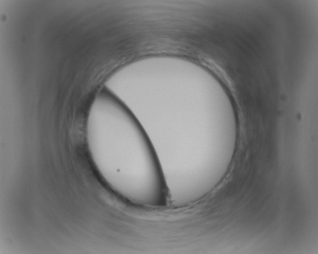 X0000061740017200512231512