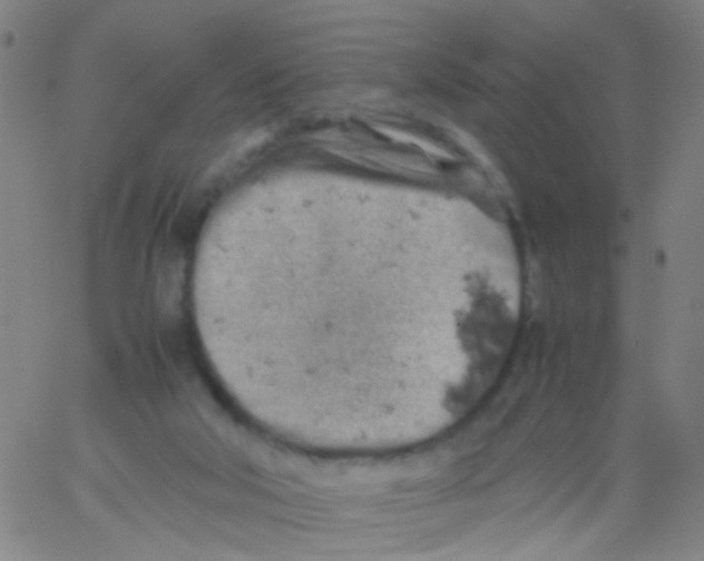 X0000061740018200512231512