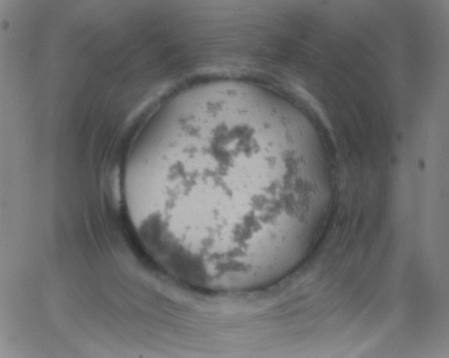 X0000061740020200512231511