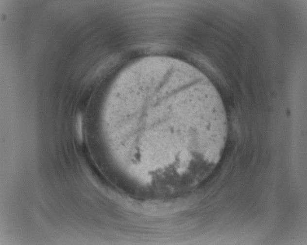 X0000061740022200512231511