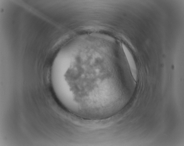 X0000061740023200512231511