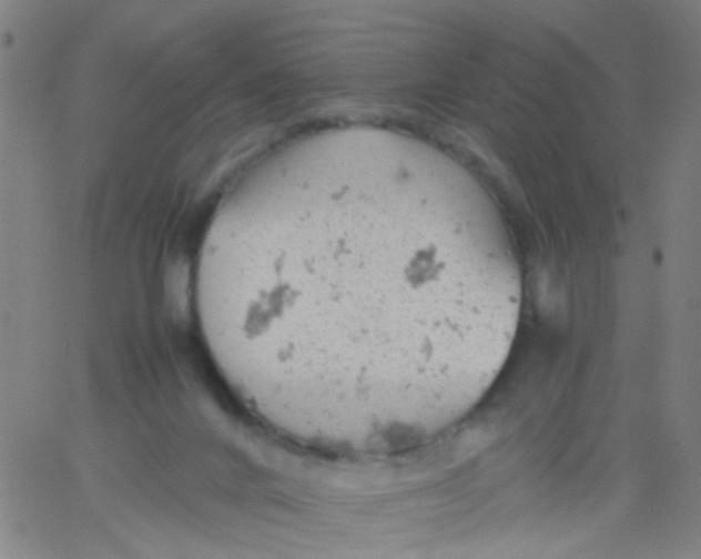 X0000061740024200512231511