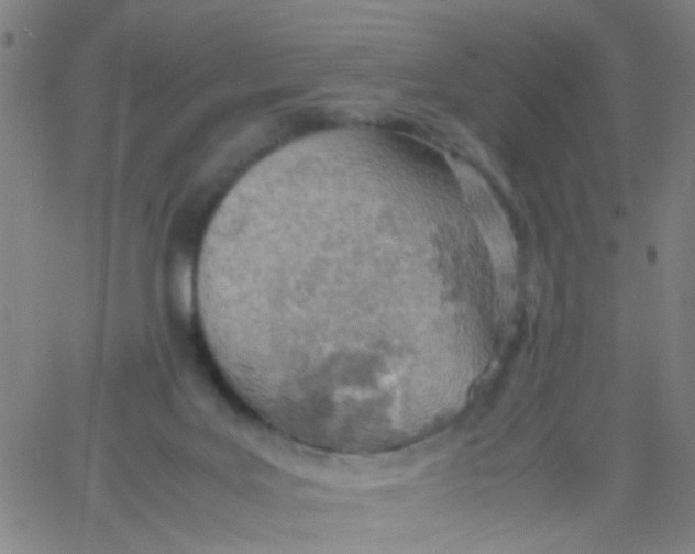 X0000061740027200512231511