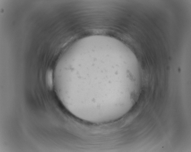 X0000061740028200512231511