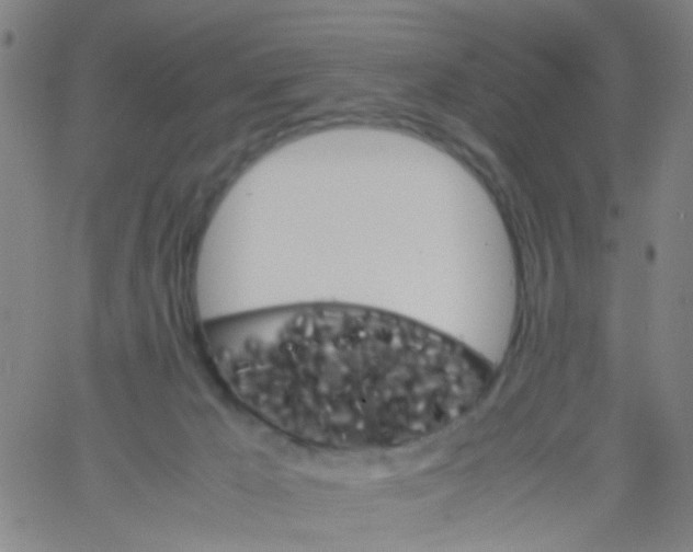 X0000061740029200512231511