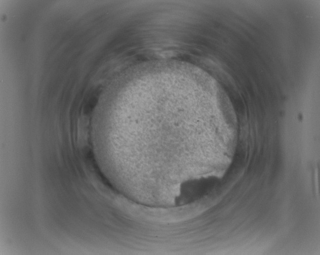 X0000061740030200512231511