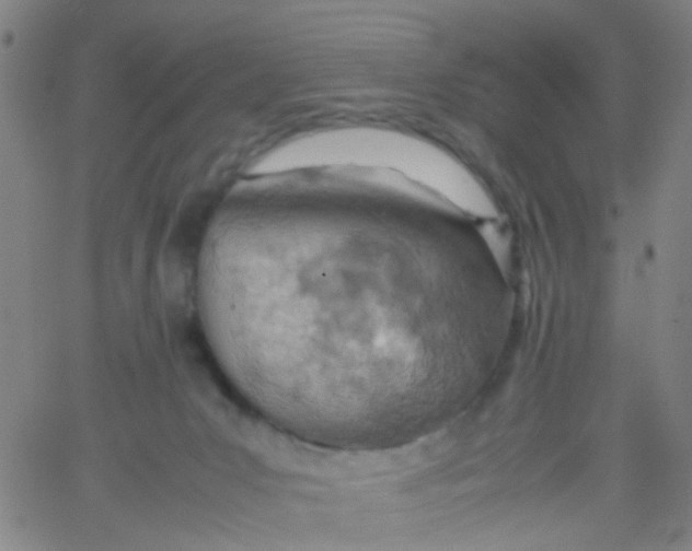 X0000061740031200512231511