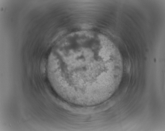 X0000061740032200512231511