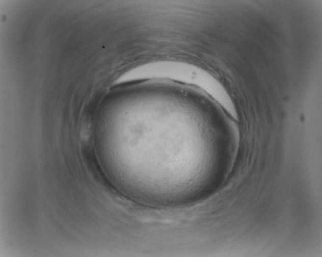 X0000061740033200512231511