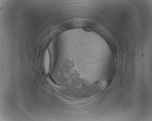 X0000061740035200512231511