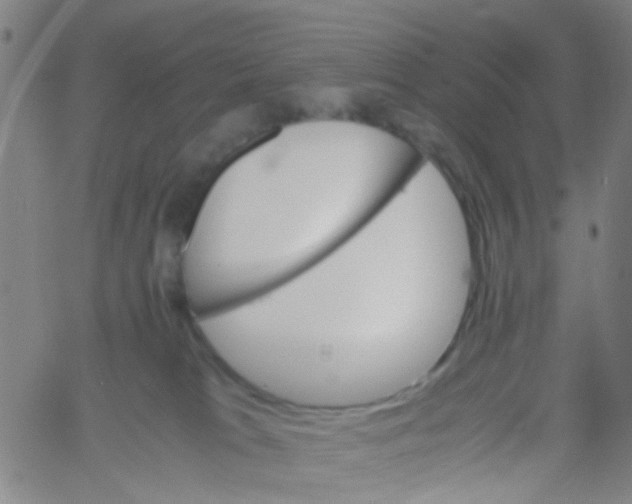 X0000061740037200512231511