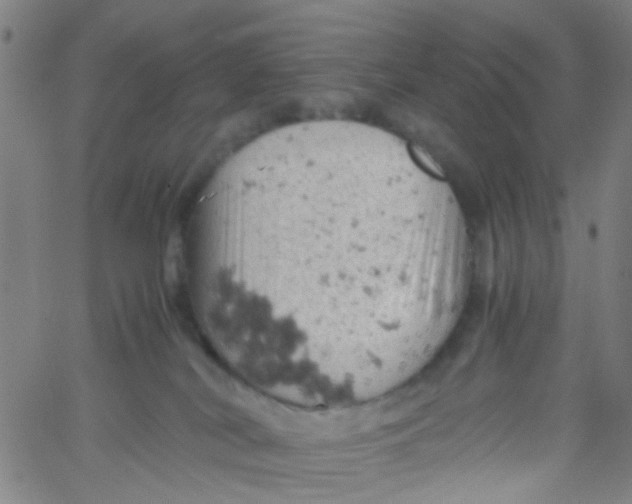 X0000061740038200512231511