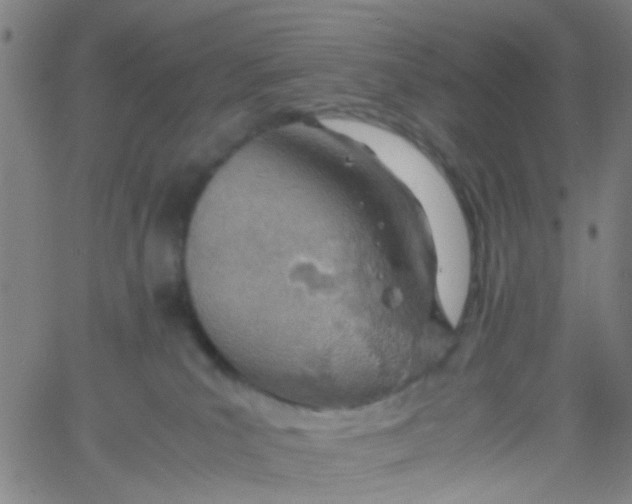 X0000061740039200512231511