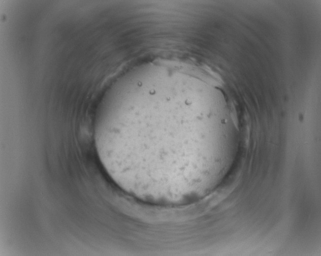 X0000061740040200512231511