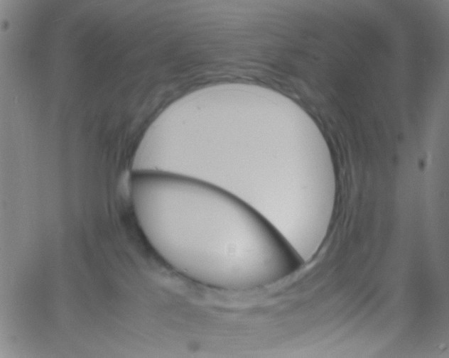 X0000061740041200512231511