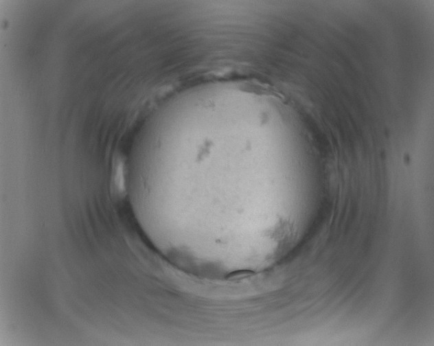 X0000061740042200512231511