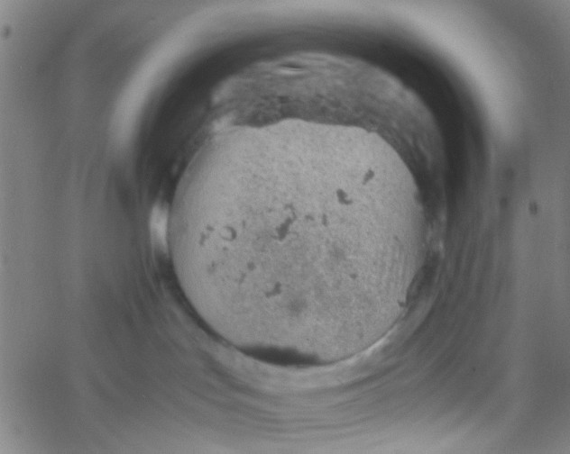 X0000061740047200512231511