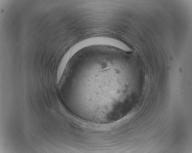 X0000061740048200512231511