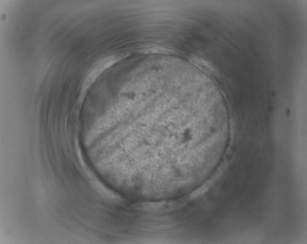 X0000061740049200512231510