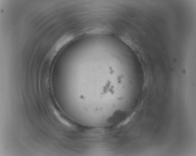 X0000061740050200512231510