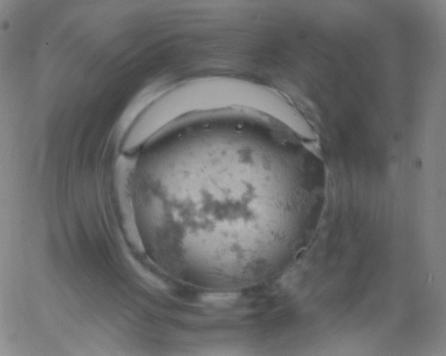 X0000061740051200512231510