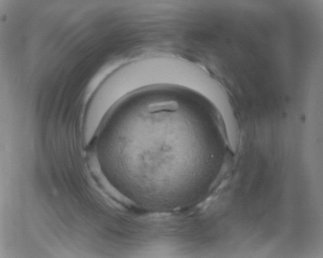 X0000061740052200512231510