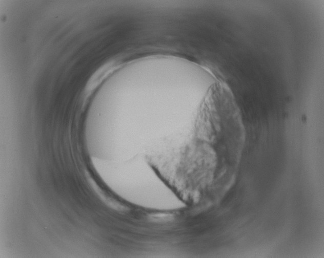 X0000061740053200512231510