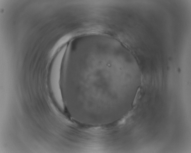 X0000061740054200512231510