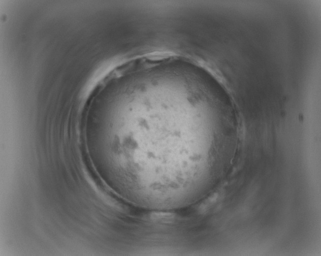 X0000061740055200512231510