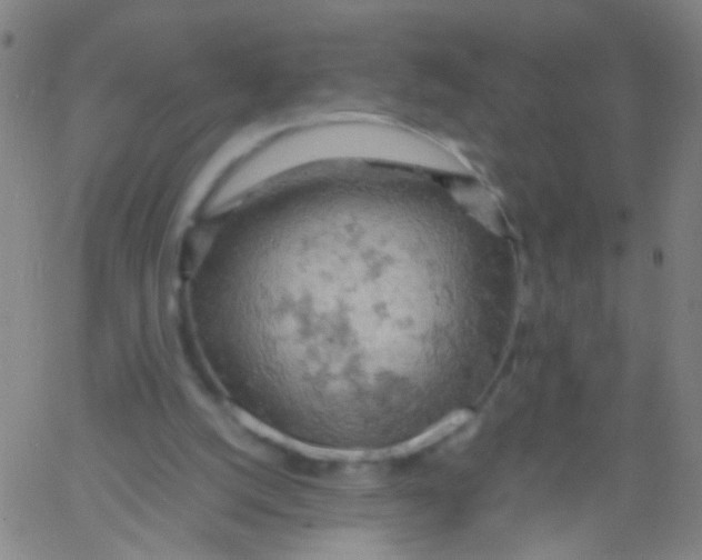 X0000061740056200512231510