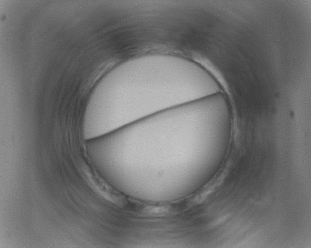 X0000061740057200512231510