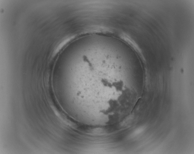 X0000061740058200512231510