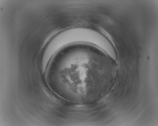 X0000061740059200512231510