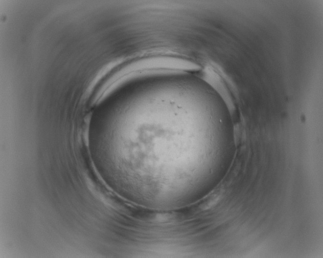 X0000061740060200512231510