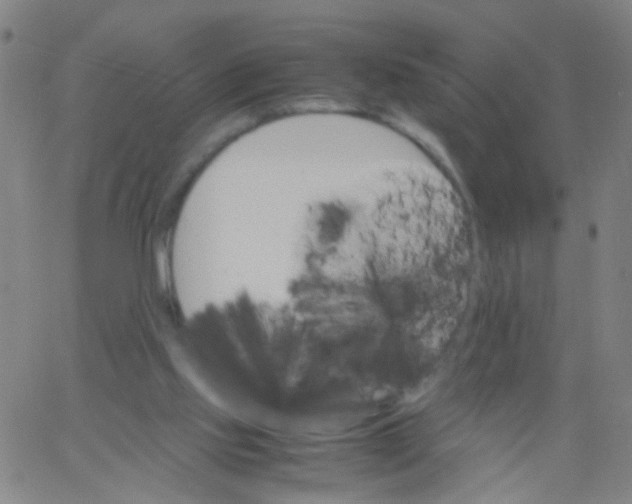 X0000061740061200512231510