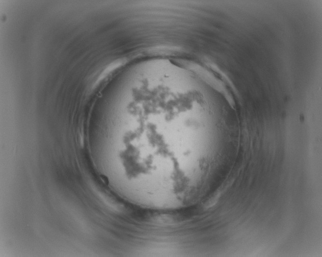 X0000061740062200512231510