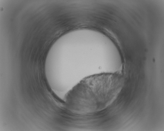 X0000061740065200512231510