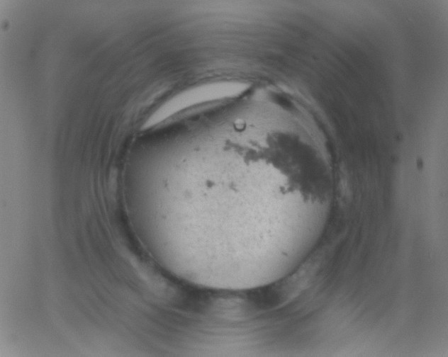 X0000061740066200512231511