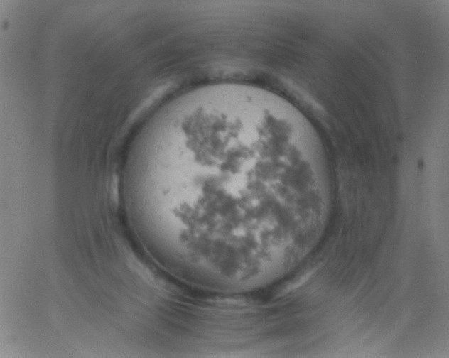 X0000061740067200512231511