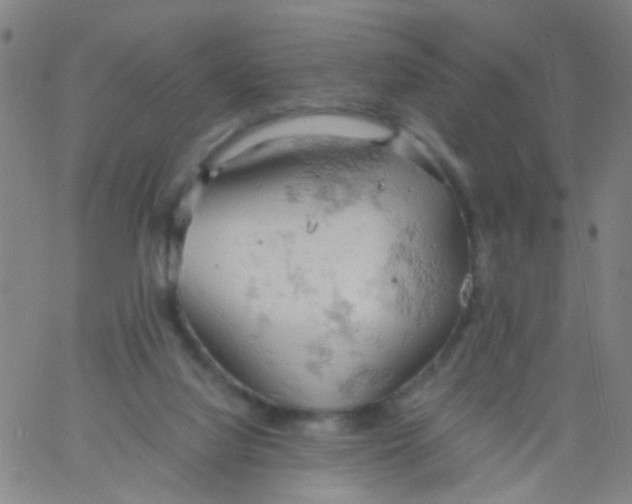 X0000061740068200512231511