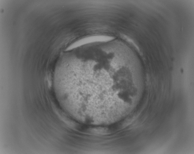 X0000061740069200512231511